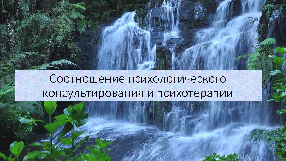 Соотношение психологического консультирования и психотерапии 