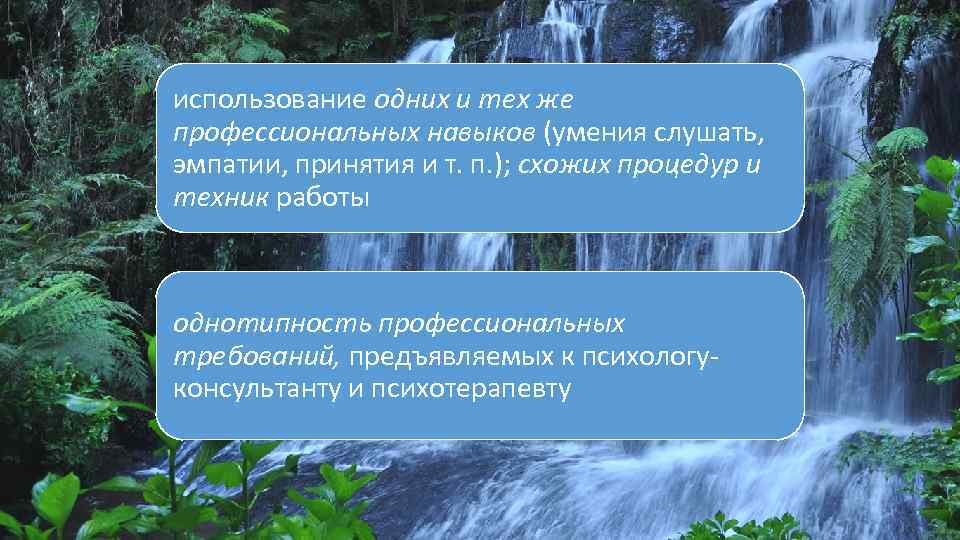 использование одних и тех же профессиональных навыков (умения слушать, эмпатии, принятия и т. п.