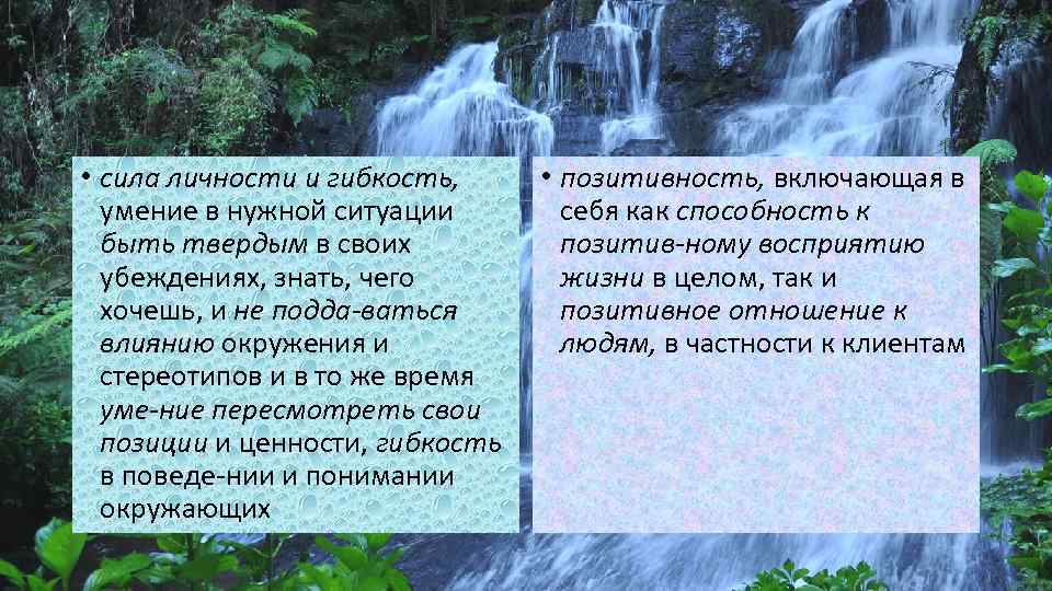  • сила личности и гибкость, умение в нужной ситуации быть твердым в своих