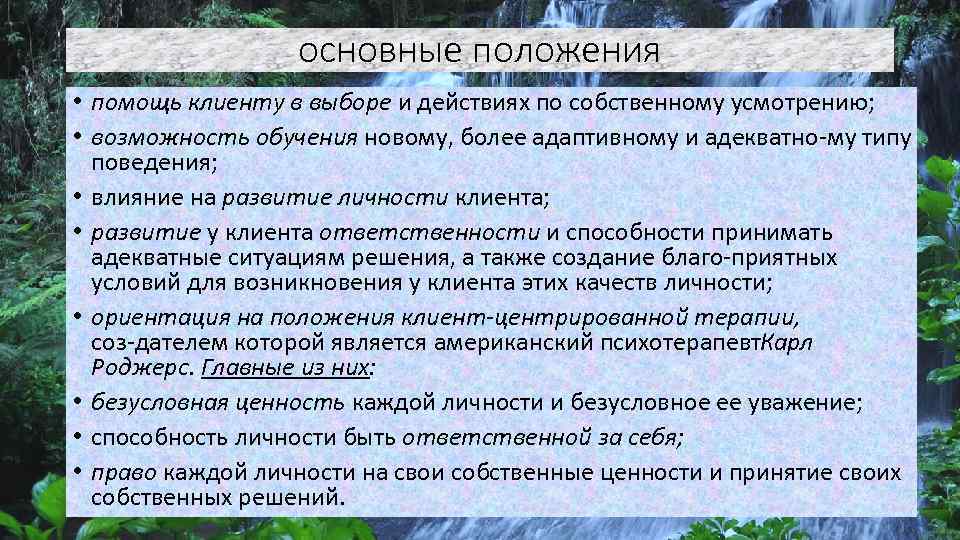 основные положения • помощь клиенту в выборе и действиях по собственному усмотрению; • возможность