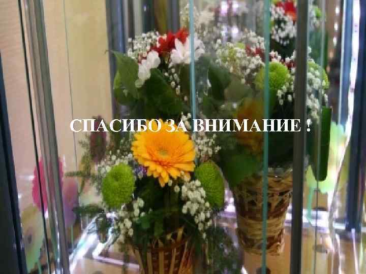 СПАСИБО ЗА ВНИМАНИЕ ! 