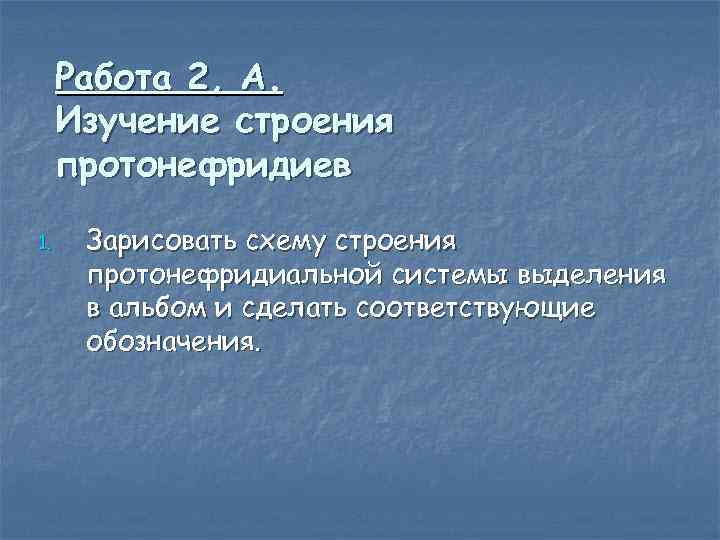 Работа 2, А. Изучение строения протонефридиев 1. Зарисовать схему строения протонефридиальной системы выделения в