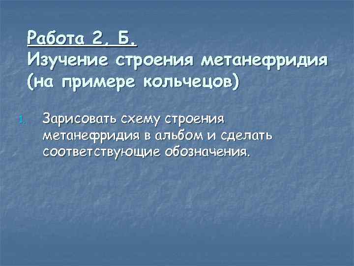 Работа 2, Б. Изучение строения метанефридия (на примере кольчецов) 1. Зарисовать схему строения метанефридия