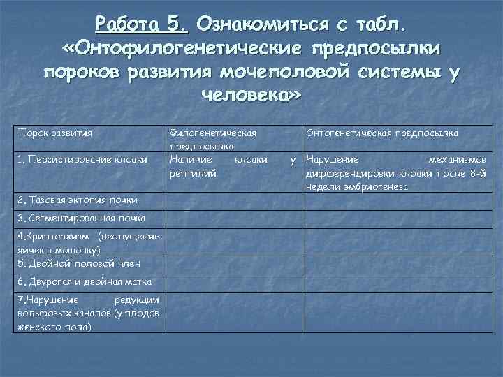 Работа 5. Ознакомиться с табл. «Онтофилогенетические предпосылки пороков развития мочеполовой системы у человека» Порок