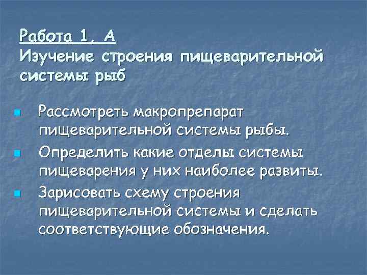 Работа 1, А Изучение строения пищеварительной системы рыб n n n Рассмотреть макропрепарат пищеварительной