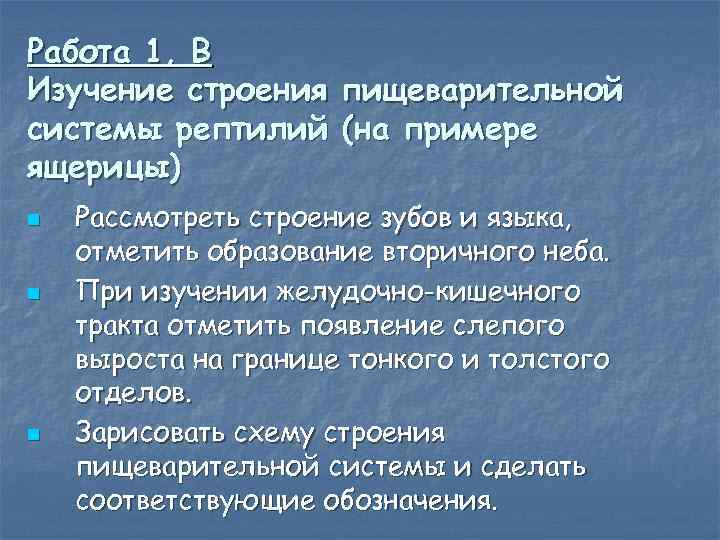 Работа 1, В Изучение строения пищеварительной системы рептилий (на примере ящерицы) n n n