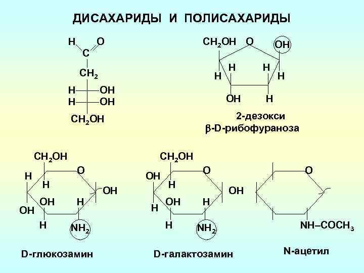 ДИСАХАРИДЫ И ПОЛИСАХАРИДЫ H О CH 2 OH O С H ОH ОH CН
