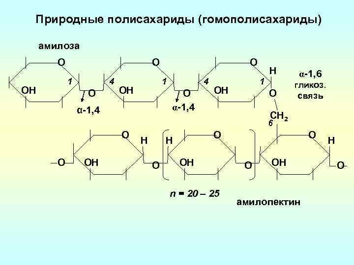Природные полисахариды (гомополисахариды) амилоза О О 1 ОН 4 О α-1, 4 Н α-1,