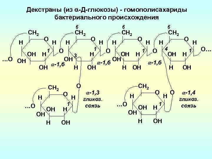Декстраны (из -Д-глюкозы) - гомополисахариды бактериального происхождения 6 CН 2 O H …О ОH