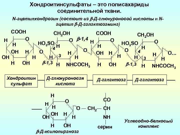 Хондроитинсульфаты – это полисахариды cоединительной ткани. N-ацетилхондрозин (состоит из -Д-глюкуроновой кислоты и Nацетил -Д-галактозамина)