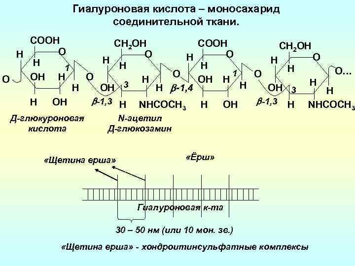 Гиалуроновая кислота – моносахарид cоединительной ткани. COOH O H H 1 OH H О