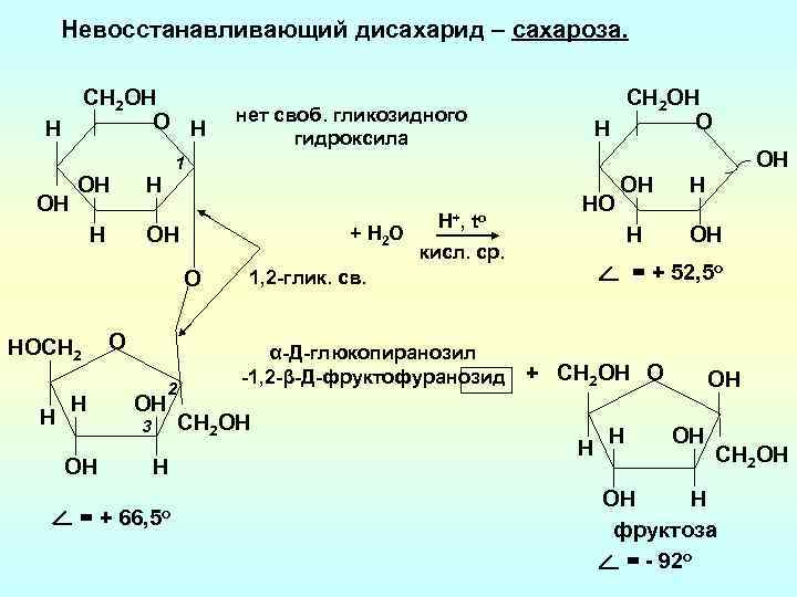 Невосстанавливающий дисахарид – сахароза. CН 2 OH O H H OH OH + Н