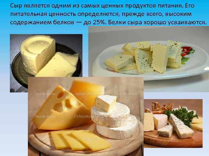 Белковый сыр. Ценность сыра. Сыр физиологическая ценность. Сыр пищевая ценность. Сыр питательная ценность.