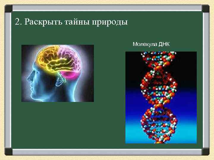 2. Раскрыть тайны природы Молекула ДНК 