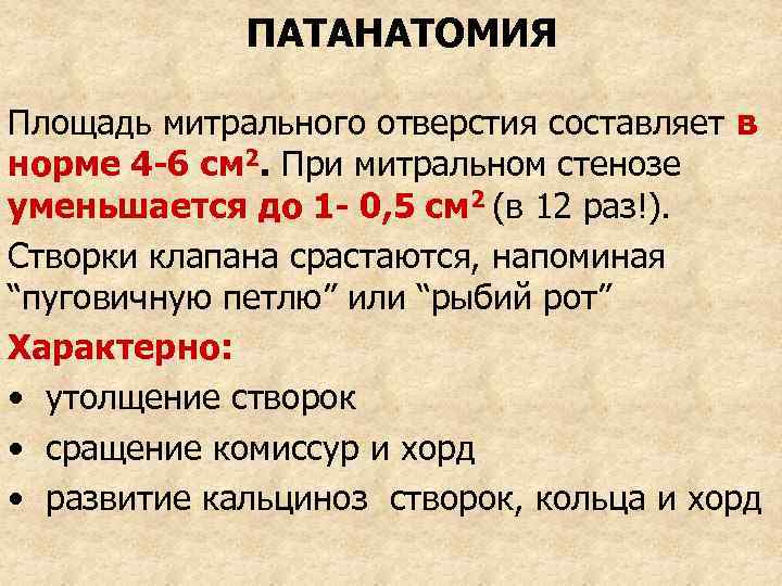 ПАТАНАТОМИЯ Площадь митрального отверстия составляет в норме 4 -6 см 2. При митральном стенозе