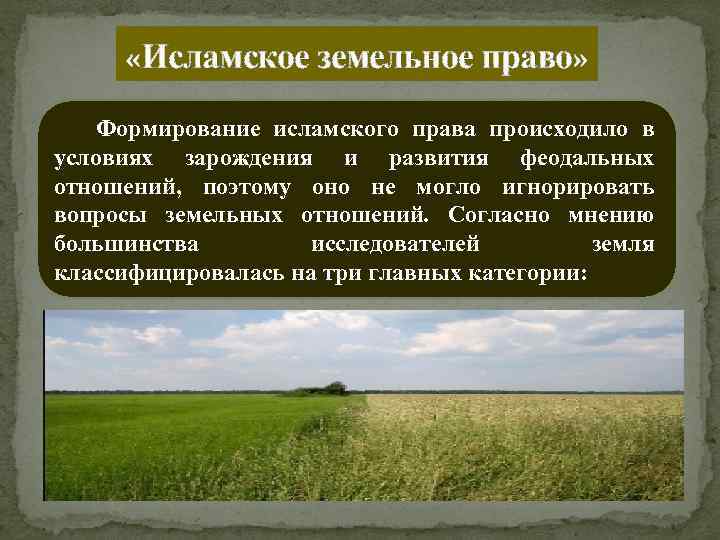  «Исламское земельное право» Формирование исламского права происходило в условиях зарождения и развития феодальных