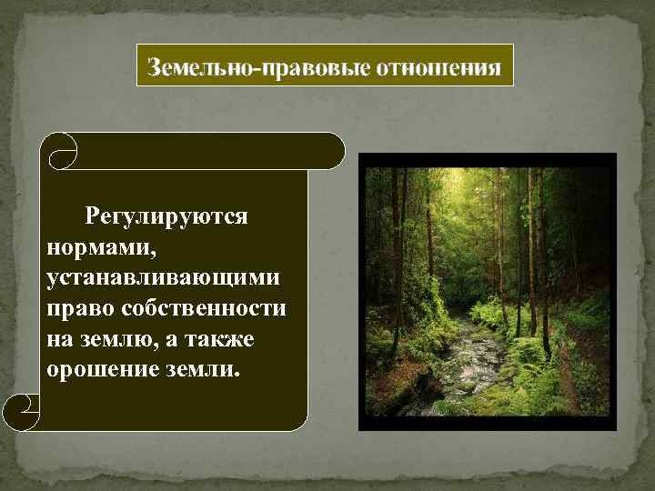 Земельно-правовые отношения Регулируются нормами, устанавливающими право собственности на землю, а также орошение земли. 