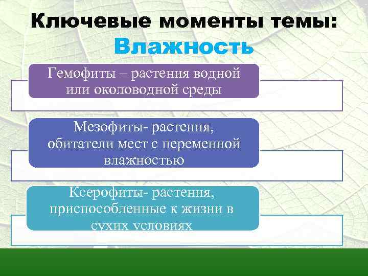 Ключевые моменты темы: Влажность Гемофиты – растения водной или околоводной среды Мезофиты- растения, обитатели