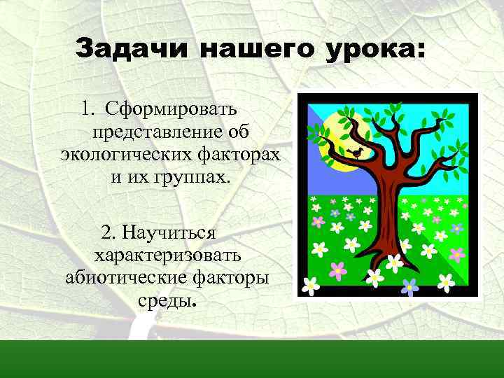Задачи нашего урока: 1. Сформировать представление об экологических факторах и их группах. 2. Научиться