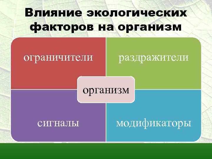 Влияние экологических факторов на организм ограничители раздражители организм сигналы модификаторы 
