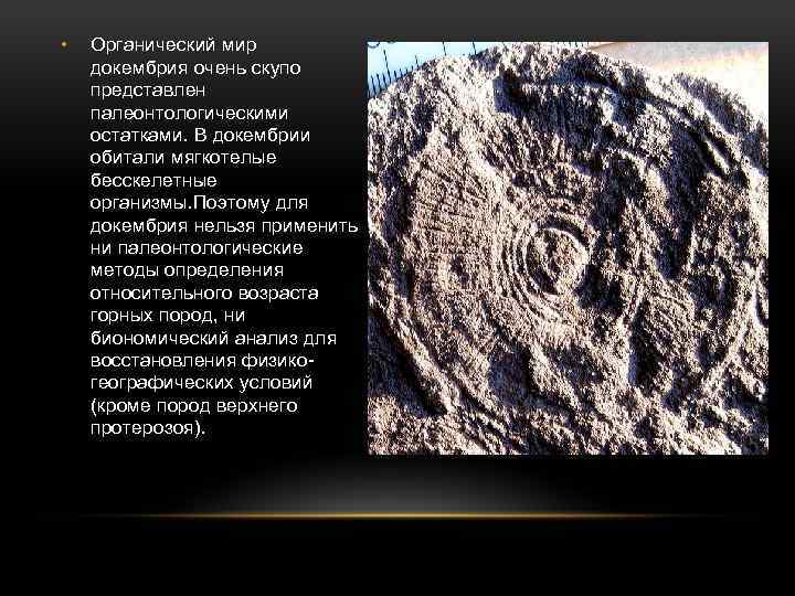  • Органический мир докембрия очень скупо представлен палеонтологическими остатками. В докембрии обитали мягкотелые