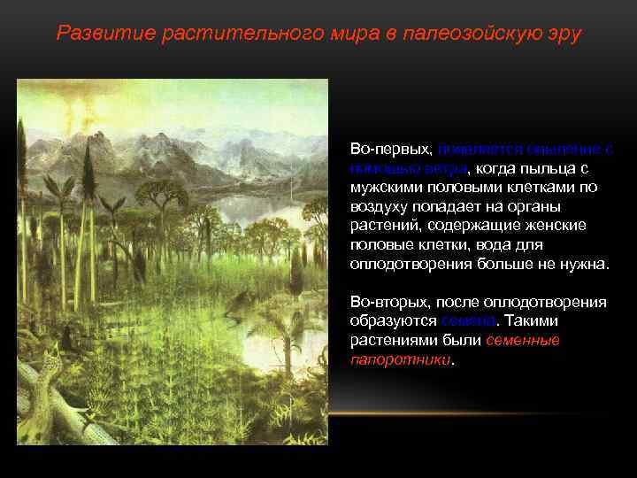 Развитие растительного мира в палеозойскую эру Во-первых, появляется опыление с помощью ветра, когда пыльца