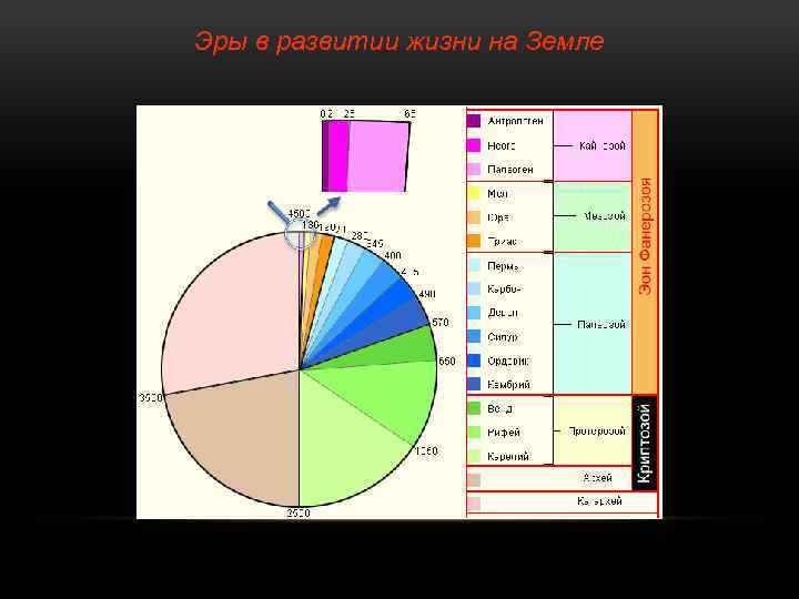 Эры в развитии жизни на Земле 