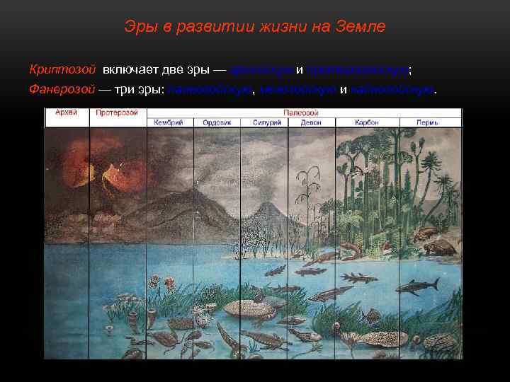 Эры в развитии жизни на Земле Криптозой включает две эры — архейскую и протерозойскую;