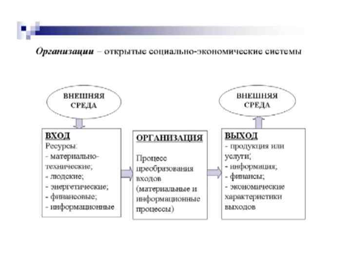 Общий и функциональный менеджмент и проект менеджмент