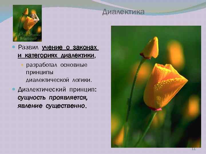 Диалектика Развил учение о законах и категориях диалектики, разработал основные принципы диалектической логики. Диалектический