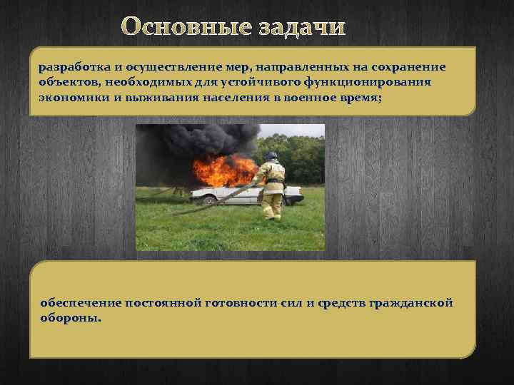 Основные задачи разработка и осуществление мер, направленных на сохранение объектов, необходимых для устойчивого функционирования