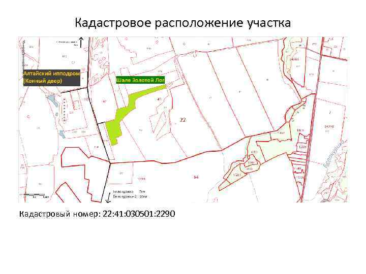 Кадастровое расположение участка Кадастровый номер: 22: 41: 030501: 2290 