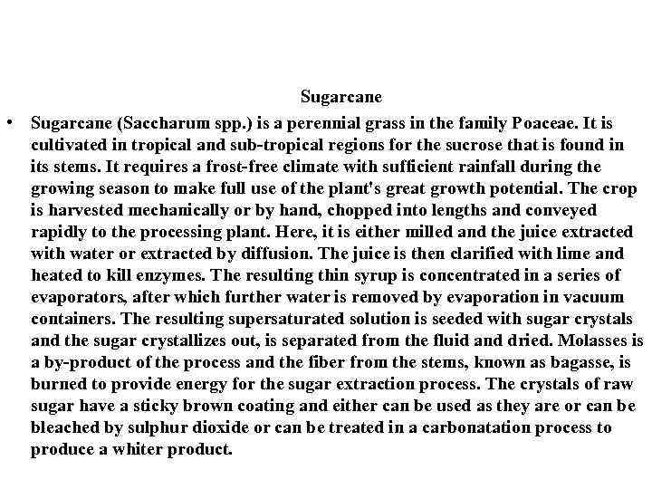 Sugarcane • Sugarcane (Saccharum spp. ) is a perennial grass in the family Poaceae.