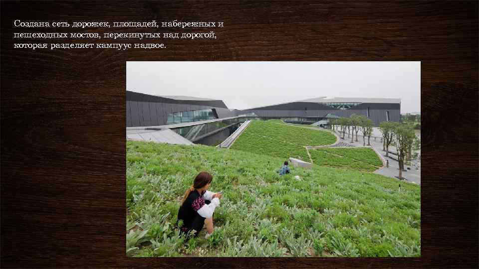 Создана сеть дорожек, площадей, набережных и пешеходных мостов, перекинутых над дорогой, которая разделяет кампуус
