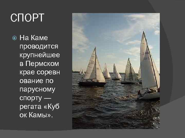 СПОРТ На Каме проводится крупнейшее в Пермском крае соревн ование по парусному спорту —