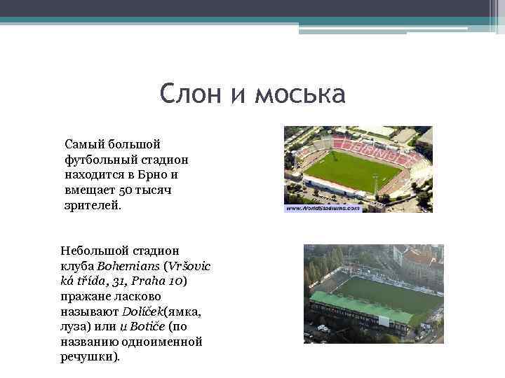 Слон и моська Самый большой футбольный стадион находится в Брно и вмещает 50 тысяч