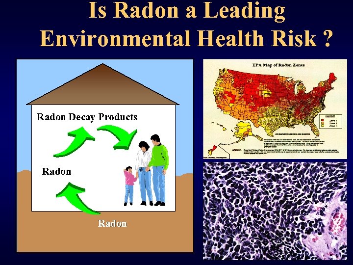 Is Radon a Leading Environmental Health Risk ? Radon Decay Products Radon 