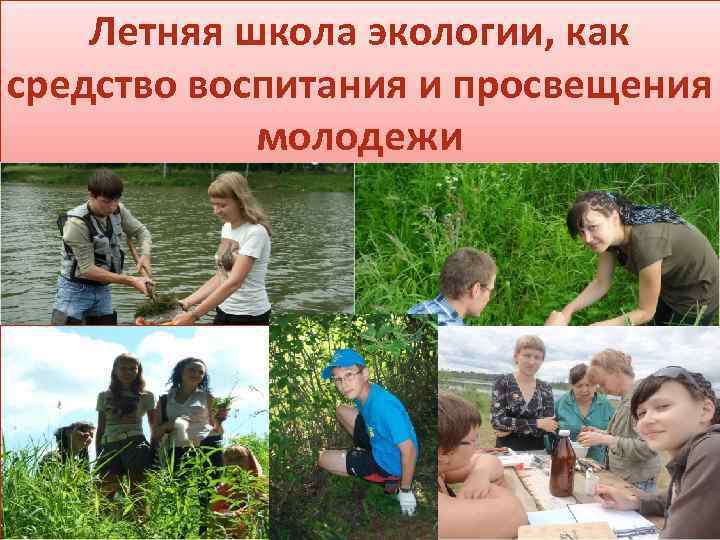 Летняя школа экологии, как средство воспитания и просвещения молодежи 