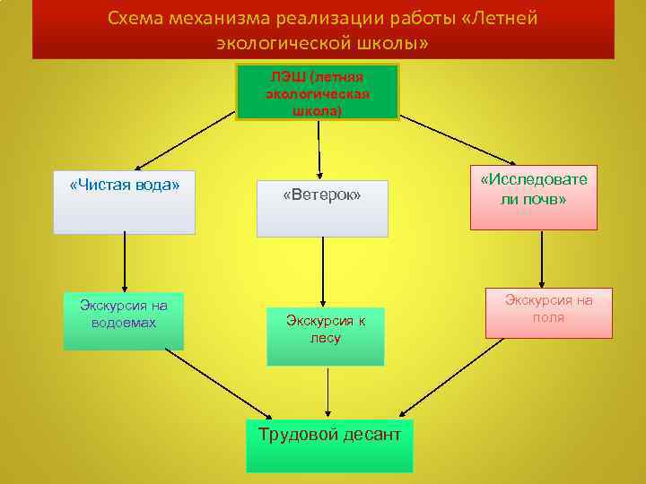 Схема механизма реализации работы «Летней экологической школы» ЛЭШ (летняя экологическая школа) «Чистая вода» Экскурсия