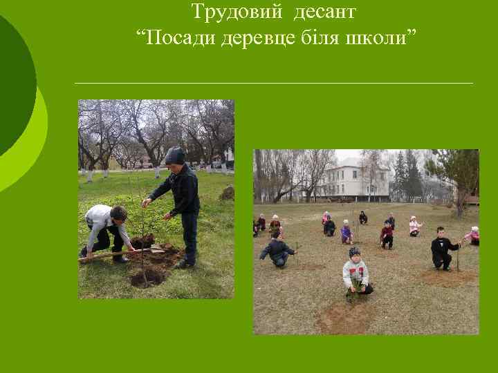 Трудовий десант “Посади деревце біля школи” 