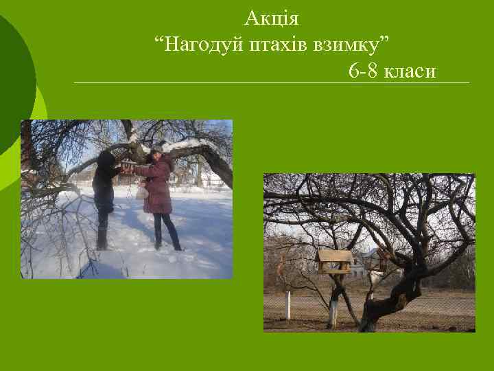 Акція “Нагодуй птахів взимку” 6 -8 класи 