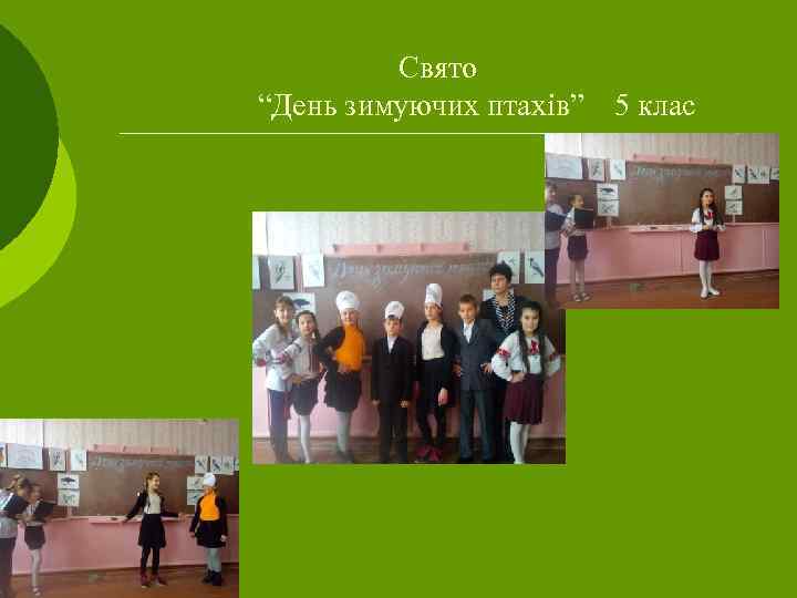 Свято “День зимуючих птахів” 5 клас 