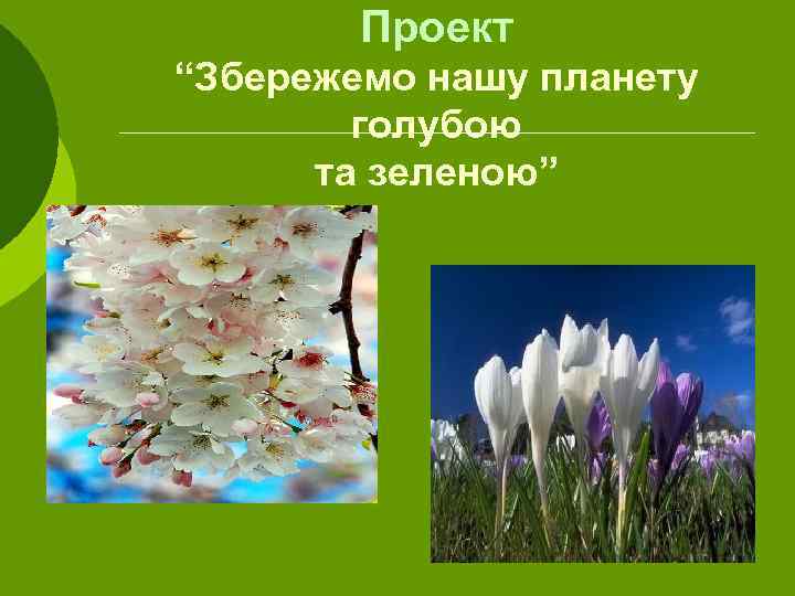 Проект “Збережемо нашу планету голубою та зеленою” 