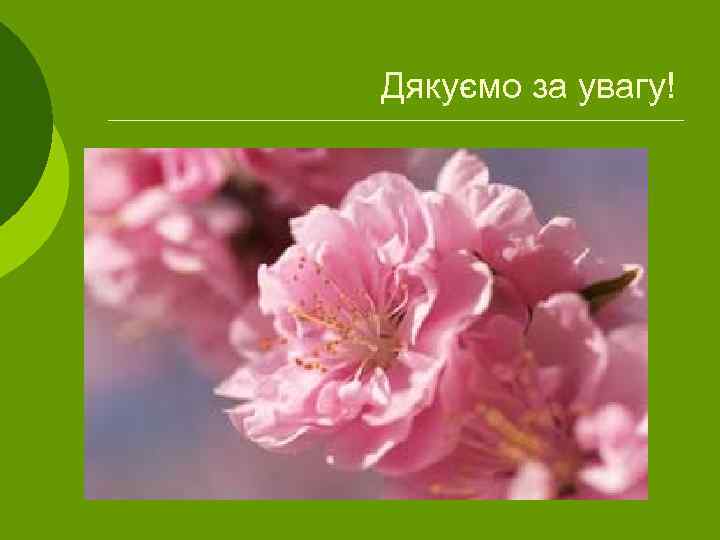 Дякуємо за увагу! 