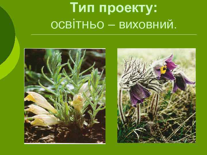 Тип проекту: освітньо – виховний. 