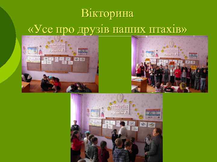 Вікторина «Усе про друзів наших птахів» 