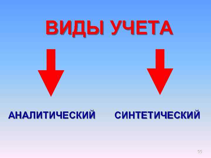 ВИДЫ УЧЕТА АНАЛИТИЧЕСКИЙ СИНТЕТИЧЕСКИЙ 55 