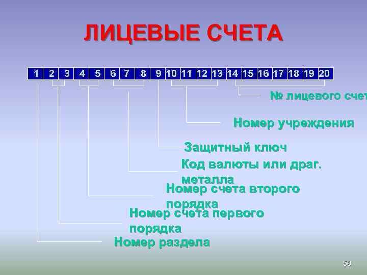 ЛИЦЕВЫЕ СЧЕТА 1 2 3 4 5 6 7 8 9 10 11 12