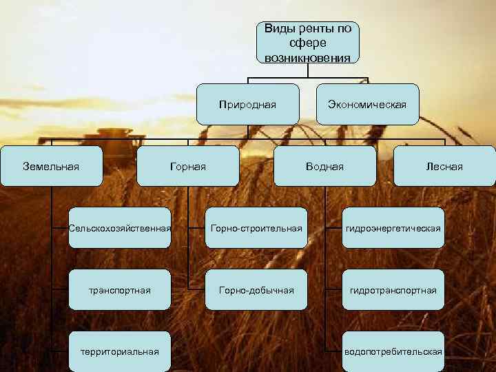 Виды ренты по сфере возникновения Природная Земельная Горная Экономическая Водная Лесная Сельскохозяйственная Горно-строительная гидроэнергетическая