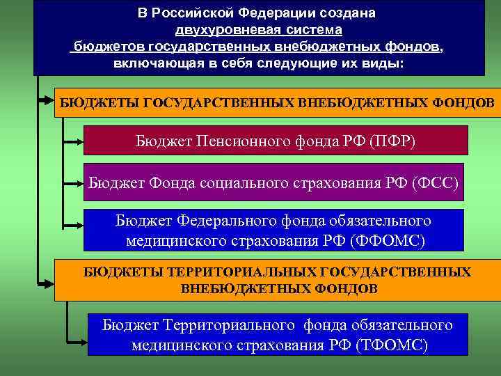 В Российской Федерации создана двухуровневая система бюджетов государственных внебюджетных фондов, включающая в себя следующие